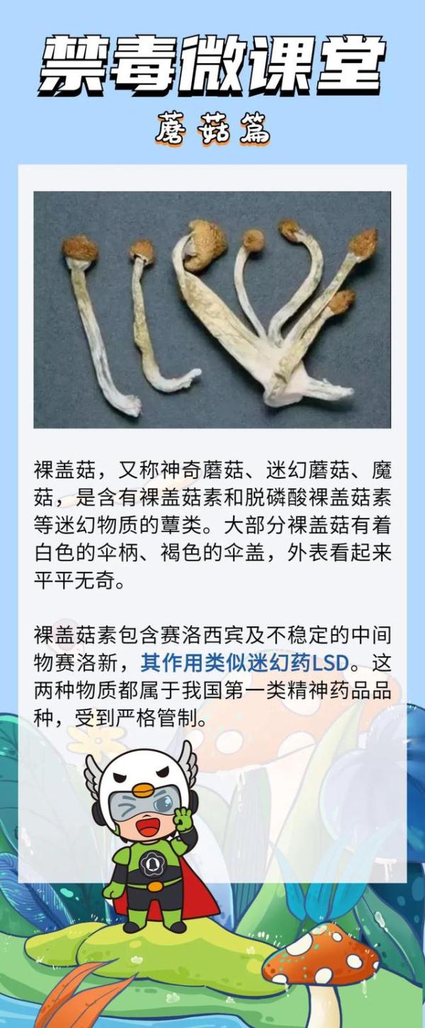 17岁少女炫耀“吸毒不会死”,却害得男友惨死...... 17岁少女炫耀“吸毒不会死”,却害得男友惨死......