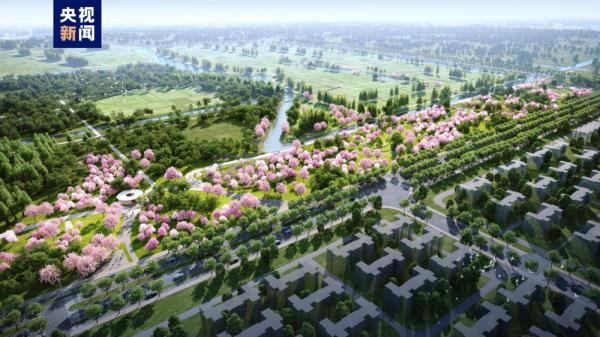 “一城一绿环” 上海新城绿环启动段进入全面建设实施阶段 “一城一绿环” 上海新城绿环启动段进入全面建设实施阶段