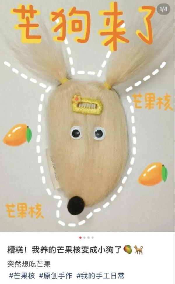 当代年轻人已经开始养“芒狗”了？