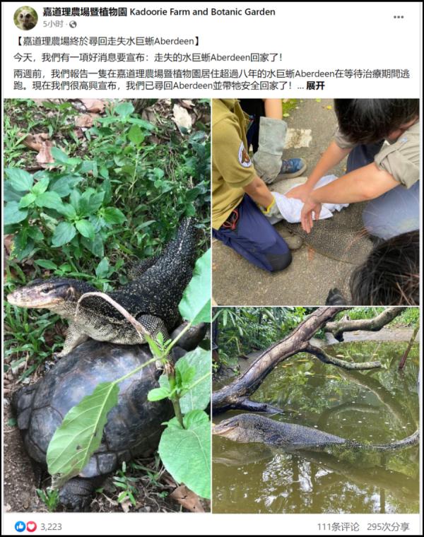 最新!香港“五爪金龙”找到了 最新!香港“五爪金龙”找到了