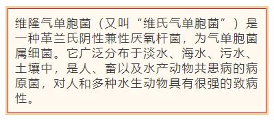 太可怕!这个夏日美食竟然让一男子骤然去世,家人百思不解 太可怕!这个夏日美食竟然让一男子骤然去世,家人百思不解