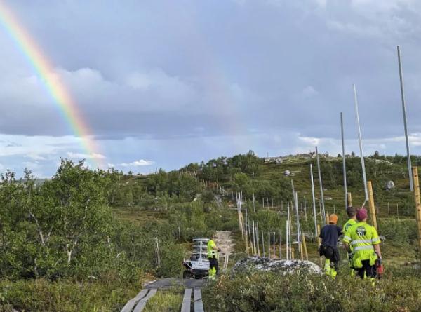 外媒：数十头挪威驯鹿“越境”俄罗斯觅食，被带回宰杀