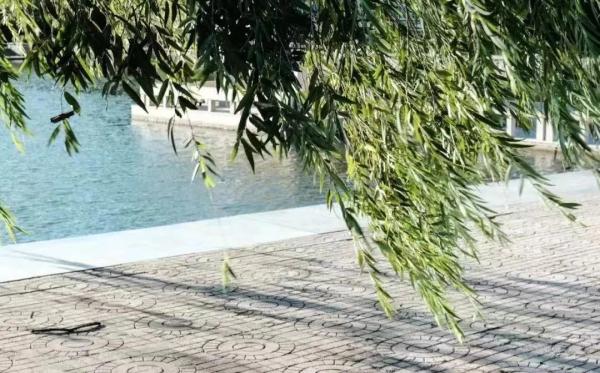 “大一不着急,先玩一玩?”是真的吗? “大一不着急,先玩一玩?”是真的吗?