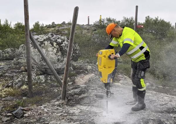 外媒：数十头挪威驯鹿“越境”俄罗斯觅食，被带回宰杀