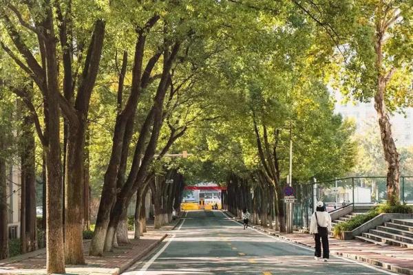 “大一不着急,先玩一玩?”是真的吗? “大一不着急,先玩一玩?”是真的吗?