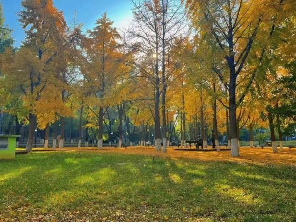 “大一不着急,先玩一玩?”是真的吗? “大一不着急,先玩一玩?”是真的吗?