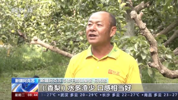 丰收又一年!各地农作物陆续成熟 丰收又一年!各地农作物陆续成熟