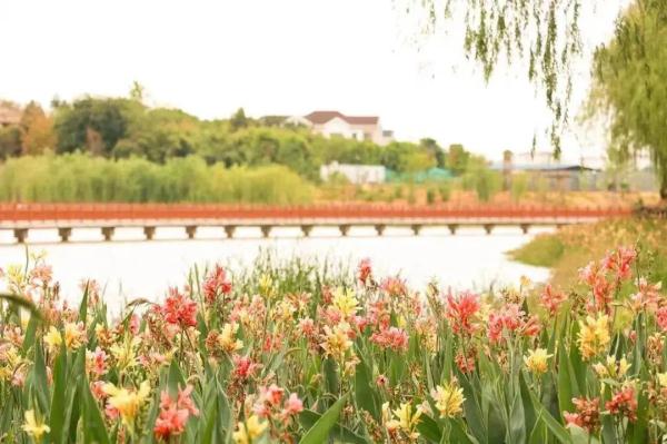 “大一不着急,先玩一玩?”是真的吗? “大一不着急,先玩一玩?”是真的吗?