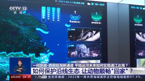 一问到底丨西部陆海新通道 平陆运河未来如何实现通江达海？