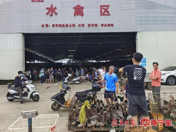 中元节临近，南宁鸭子走俏，餐企推出“鸭套餐”