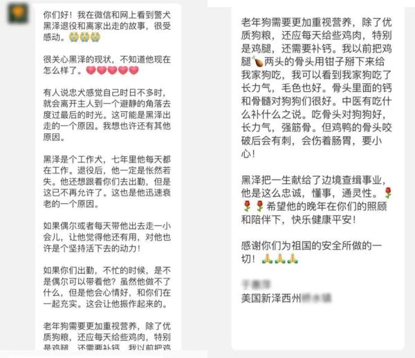 那只退役后多次“离家出走”的警犬离开了 那只退役后多次“离家出走”的警犬离开了