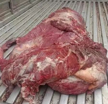 “天降”200斤的大牛腿！他们这样做......网友：愿每一个为生活而奔波的人都幸福！