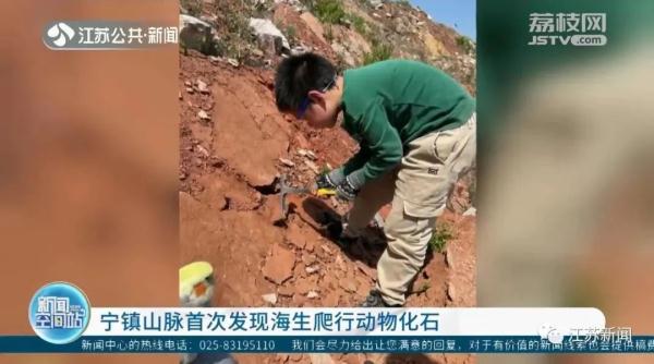 10岁男孩山里挖到神秘大石，得知来历后全家凌晨赶回原地！