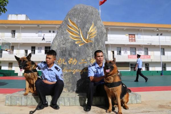 那只退役后多次“离家出走”的警犬离开了 那只退役后多次“离家出走”的警犬离开了