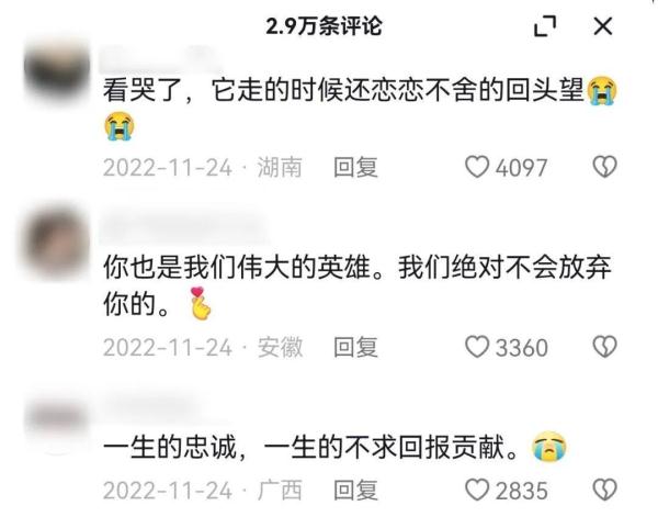 那只退役后多次“离家出走”的警犬离开了 那只退役后多次“离家出走”的警犬离开了