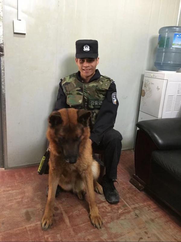 退役警犬去世，训导员雨中哽咽告别……