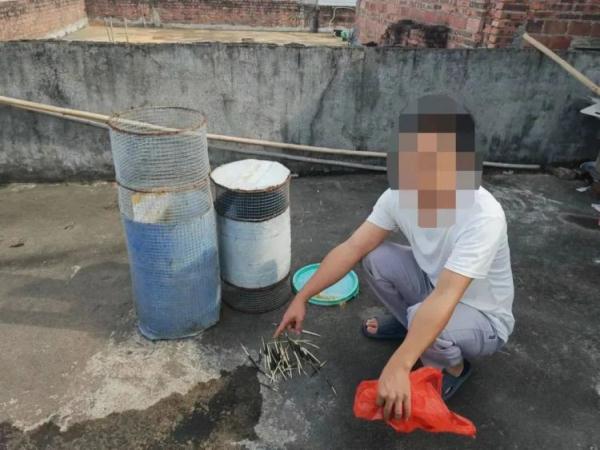 家中搜出大量证据！男子因非法狩猎食“野味”被抓获