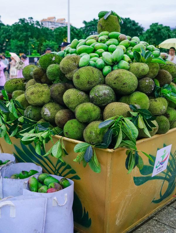 在这里，实现“水果自由”！