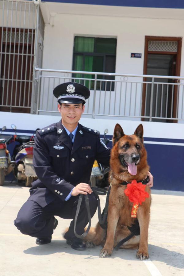 退役警犬去世，训导员雨中哽咽告别……