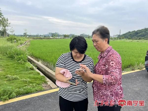 世界上颜色最红的鸟类现身南宁！你见过吗？