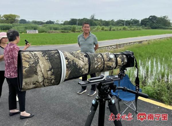 世界上颜色最红的鸟类现身南宁！你见过吗？