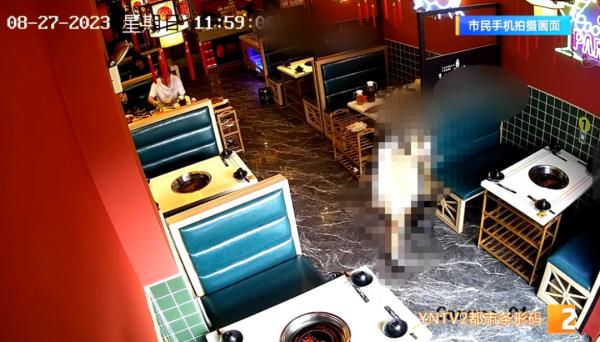 火锅店里疑吃出虫子,顾客上来就差评!老板看了监控后,直呼冤枉并报警…… 火锅店里疑吃出虫子,顾客上来就差评!老板看了监控后,直呼冤枉并报警……
