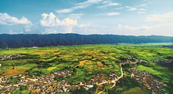 在这里，实现“水果自由”！