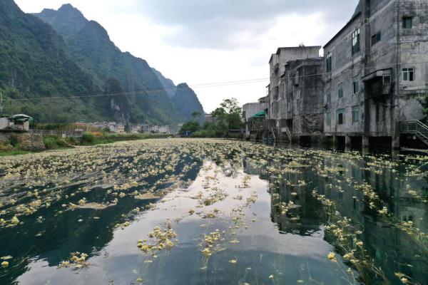 这条今天通车的高铁边,藏着这些绝美风景 这条今天通车的高铁边,藏着这些绝美风景