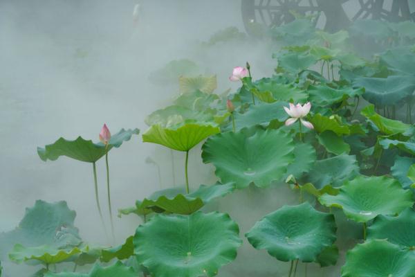 这条今天通车的高铁边,藏着这些绝美风景 这条今天通车的高铁边,藏着这些绝美风景