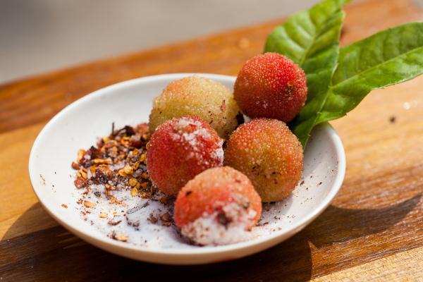 在这里，实现“水果自由”！