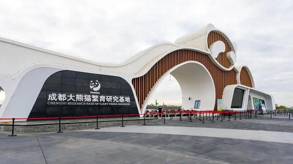 私自投喂大熊猫！两名游客，终身禁入！