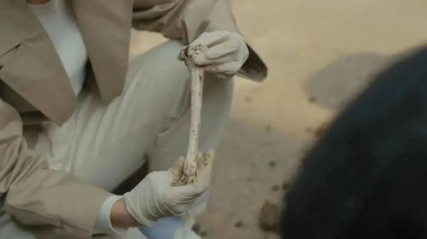 杀害已死之人，要负责吗？