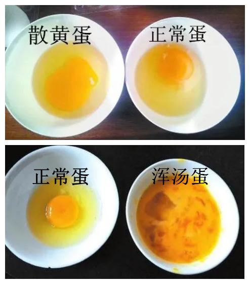 “坏蛋”是怎么炼成的？延缓“坏蛋”小秘诀一起学起来