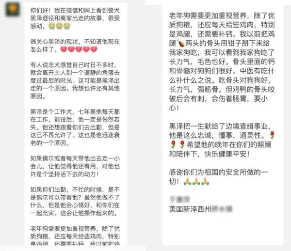 送别!工作“零失误”的警犬“黑泽”走了…… 送别!工作“零失误”的警犬“黑泽”走了……