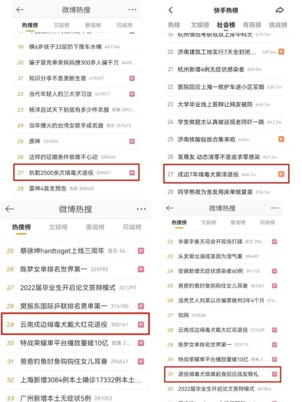 送别!工作“零失误”的警犬“黑泽”走了…… 送别!工作“零失误”的警犬“黑泽”走了……