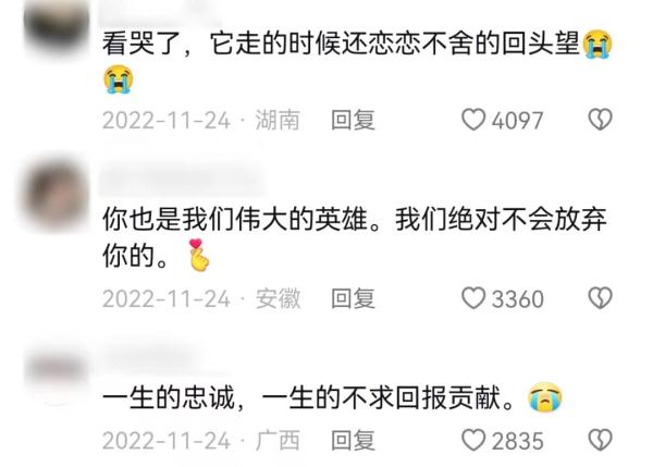这次它真的走了！离家出走的退役警犬…看哭无数人