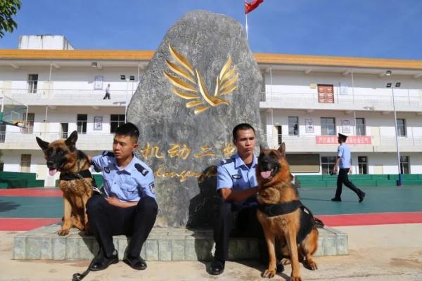 送别!工作“零失误”的警犬“黑泽”走了…… 送别!工作“零失误”的警犬“黑泽”走了……