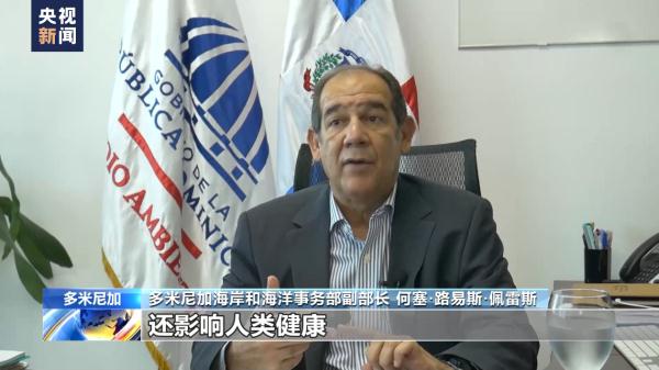 马尾藻过度繁殖 多米尼加生态旅游业受损 马尾藻过度繁殖 多米尼加生态旅游业受损