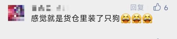 飞机行驶中传出"狗叫声"？国航一航班紧急备降