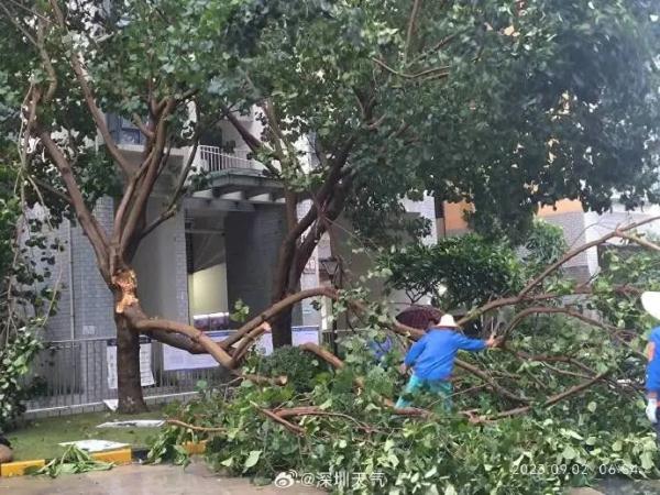 分区橙色暴雨预警生效中!深圳地铁、公交发布最新通知,台风“苏拉”最新动态→ 分区橙色暴雨预警生效中!深圳地铁、公交发布最新通知,台风“苏拉”最新动态→