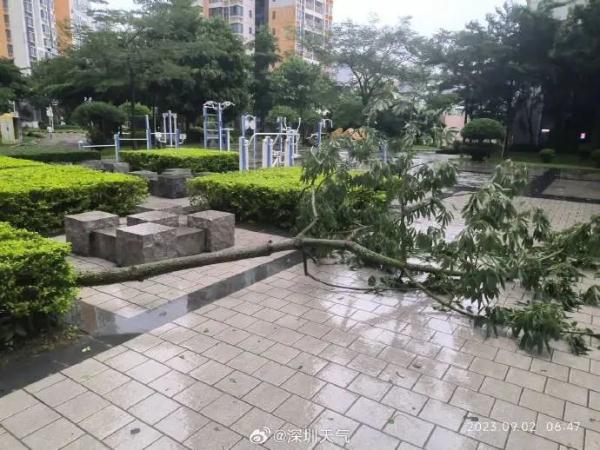 分区橙色暴雨预警生效中!深圳地铁、公交发布最新通知,台风“苏拉”最新动态→ 分区橙色暴雨预警生效中!深圳地铁、公交发布最新通知,台风“苏拉”最新动态→