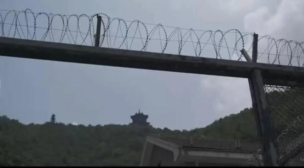 境外诈骗归来，当事人自述：他们威胁我！