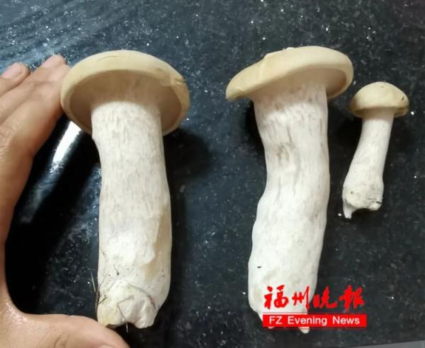 别好奇!福州女孩吃网红美食,中毒了! 别好奇!福州女孩吃网红美食,中毒了!