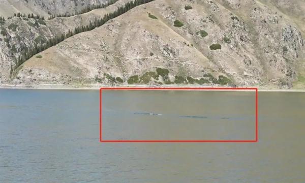 湖里出现“15米长银色水怪”？知名景区回应