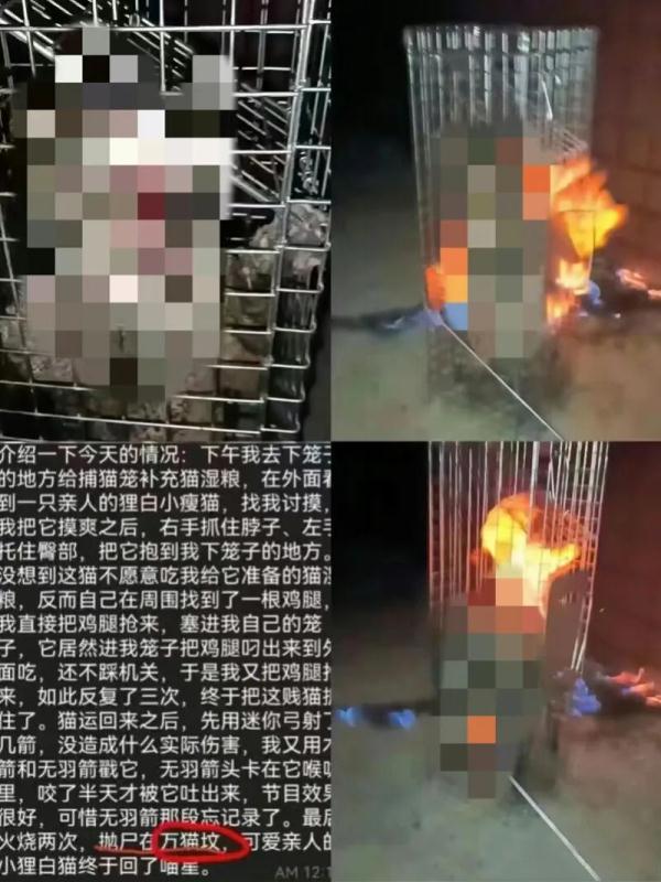 情况属实！李某某被开除！