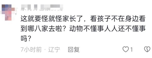 疑似啄到眼睛,上海一儿童被火烈鸟攻击?网友吵翻 疑似啄到眼睛,上海一儿童被火烈鸟攻击?网友吵翻