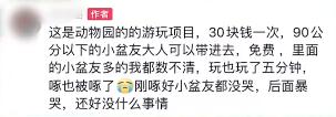 疑似啄到眼睛,上海一儿童被火烈鸟攻击?网友吵翻 疑似啄到眼睛,上海一儿童被火烈鸟攻击?网友吵翻
