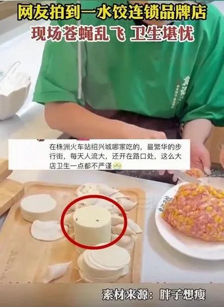 饺子皮上苍蝇乱爬，店员照包不误？一知名连锁品牌店被曝光…