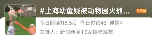 疑似啄到眼睛,上海一儿童被火烈鸟攻击?网友吵翻 疑似啄到眼睛,上海一儿童被火烈鸟攻击?网友吵翻