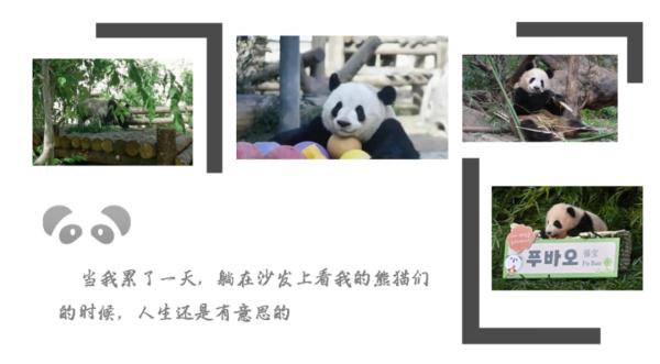谁说年轻人必须“三十而立”？